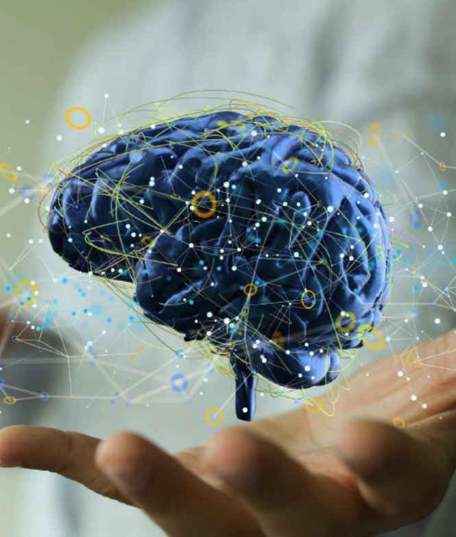 Mental Training Das Gehirn