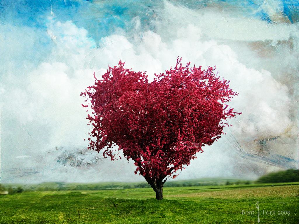 Kurse & Seminare herzbaum rot